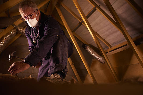 Types of Insulation We Offer in West Chicago, IL
